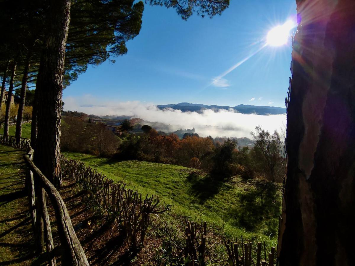 Fonte Degna - Alloggio E Sito Storico Citerna Eksteriør billede