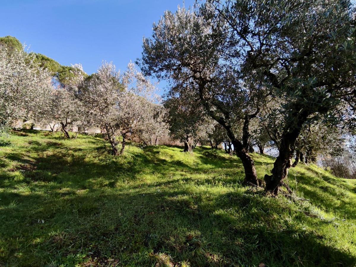Fonte Degna - Alloggio E Sito Storico Citerna Eksteriør billede